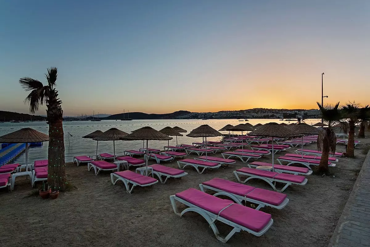 لادنیا دل ماره