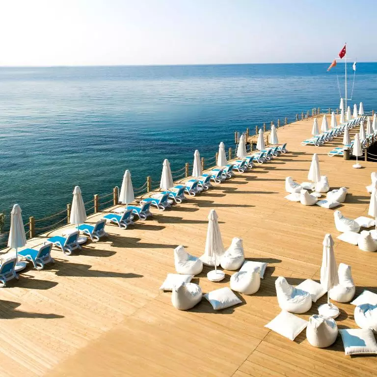 پالوما پاشا