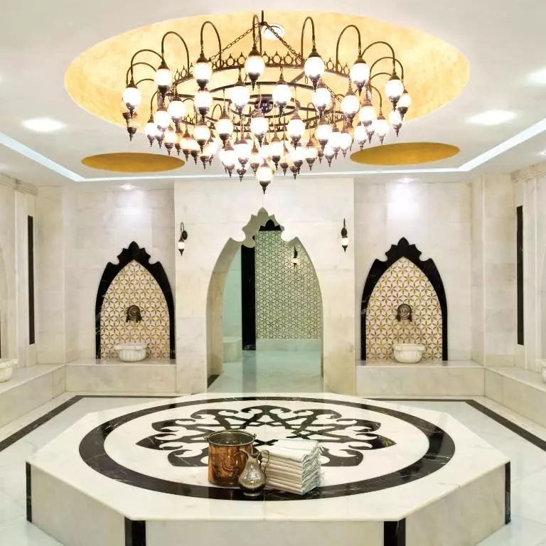 پالوما پاشا