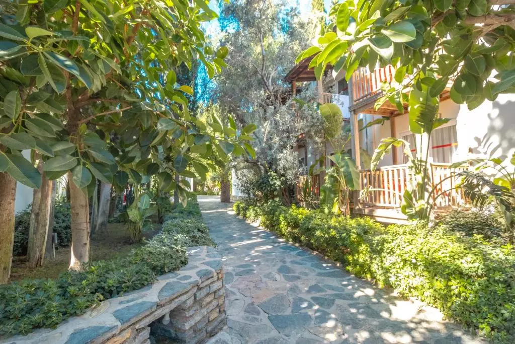 مارویدا سنسز وری چیک بدروم