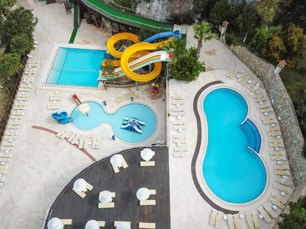 لادونیا آداکوله