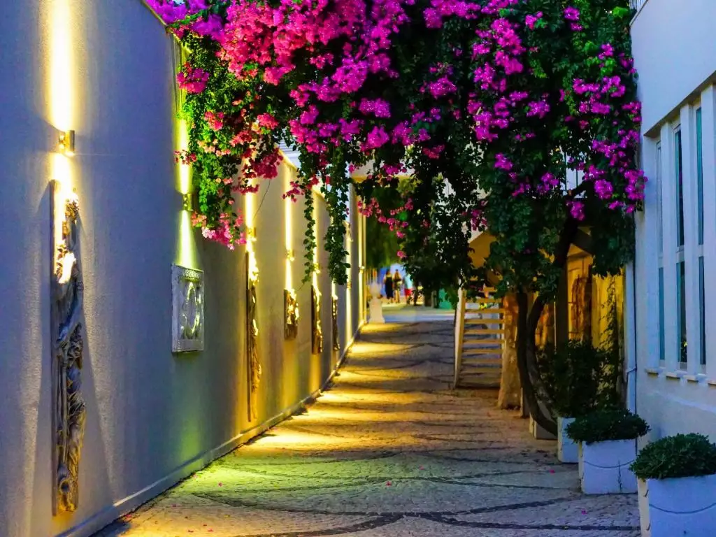 بلو دریمز ریزورت