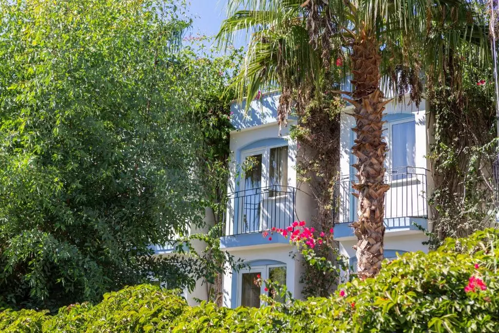 اسمارت استی بیچ بدروم