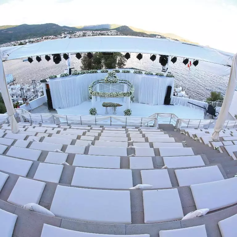 پالوما پاشا