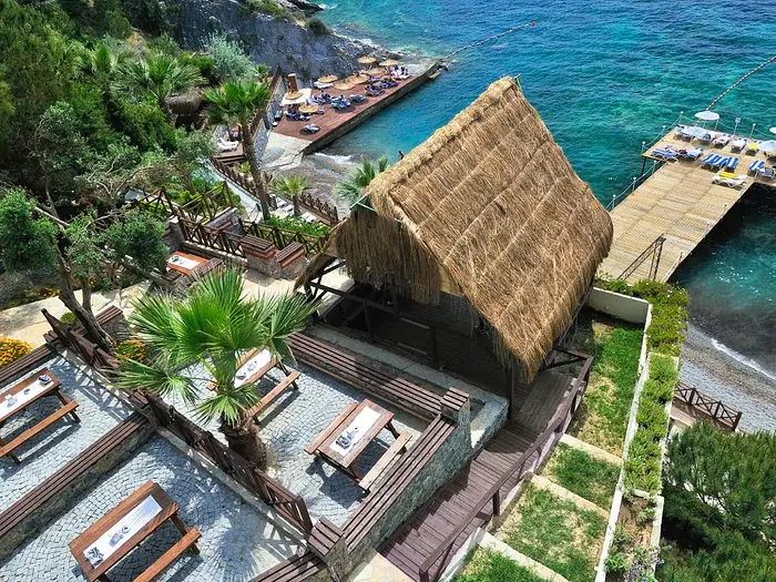 لادونیا آداکوله