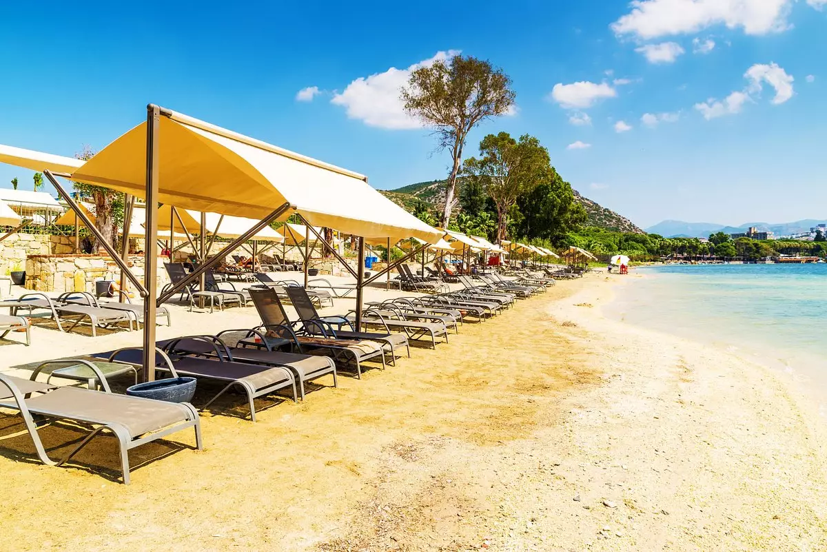 لیبرتی کوش آداسی