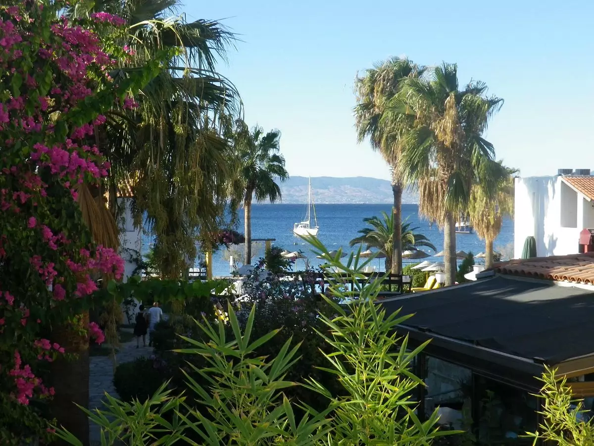 لادونیا اوندرحان