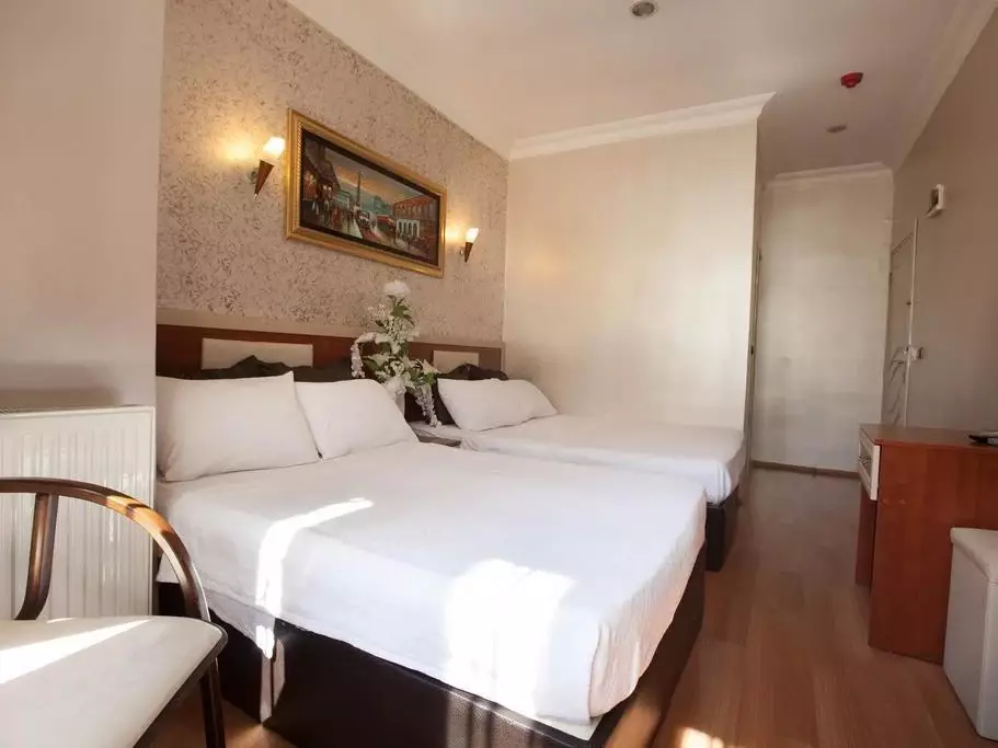 گرند پالمیه تکسیم استانبول