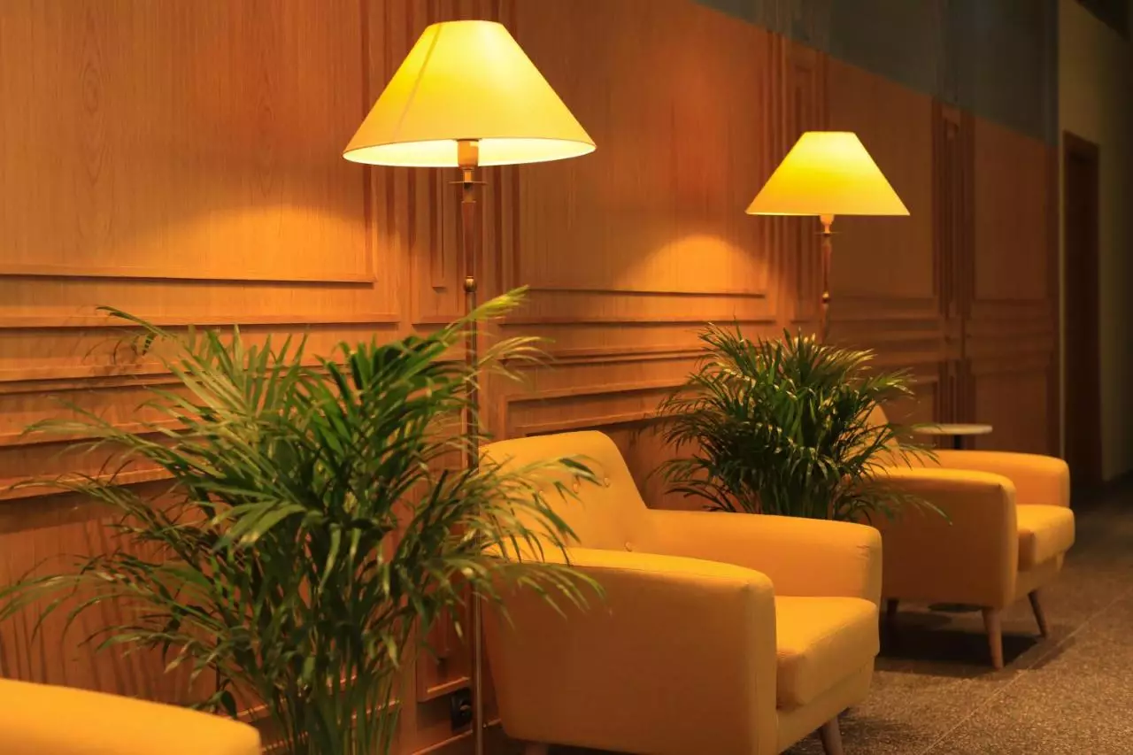 پاین آستوریا تفلیس