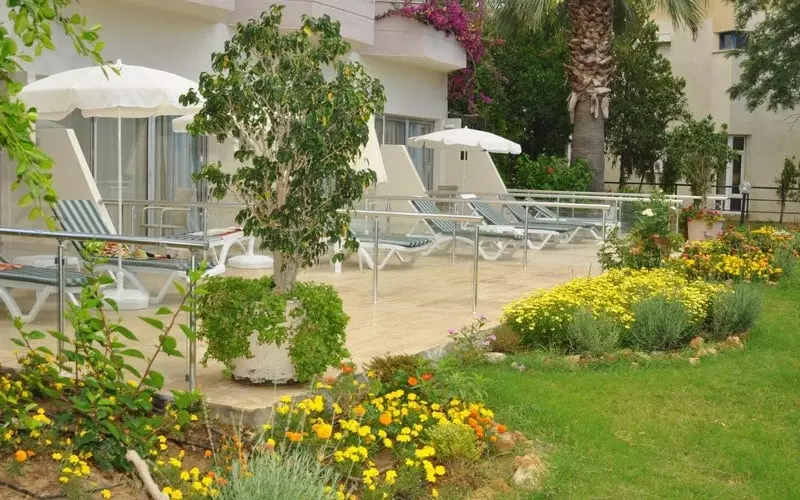 آسکا جاست این بیچ آلانیا