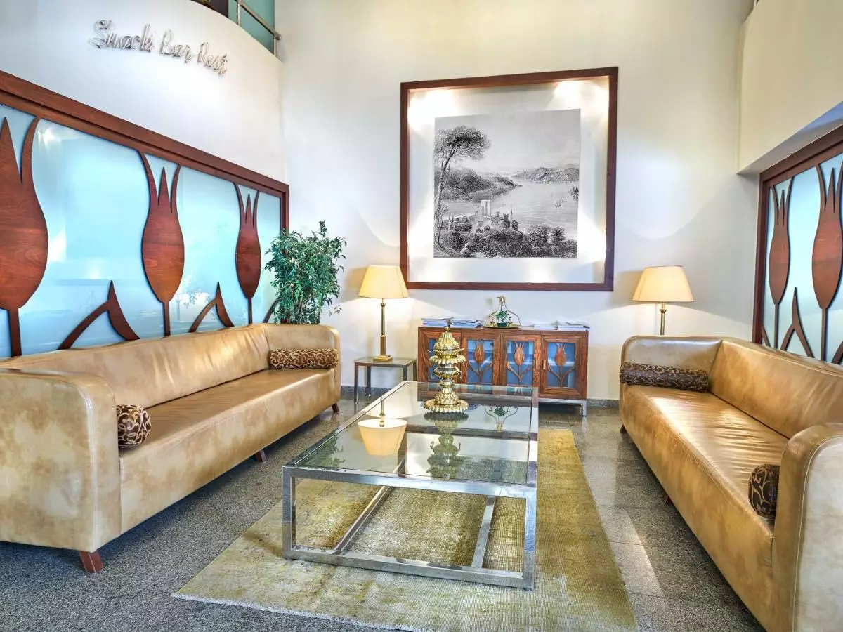 فرونیا استانبول