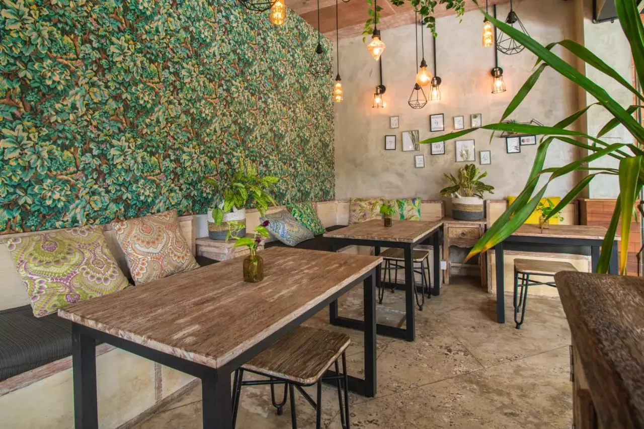 گمینی استار کوتا