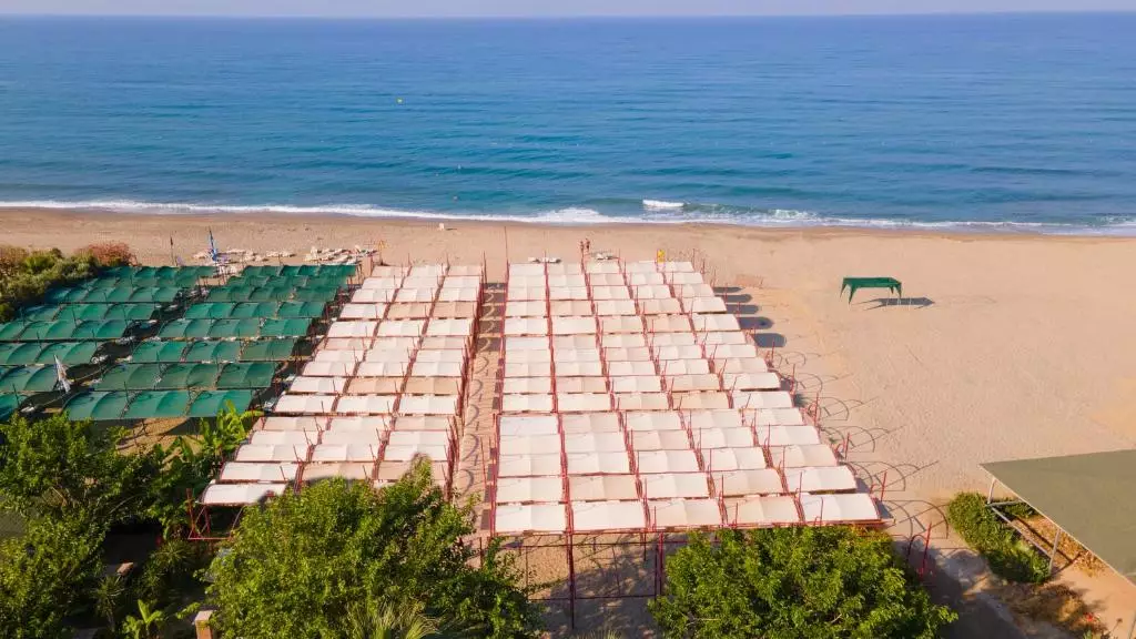 تایتان سلکت آلانیا