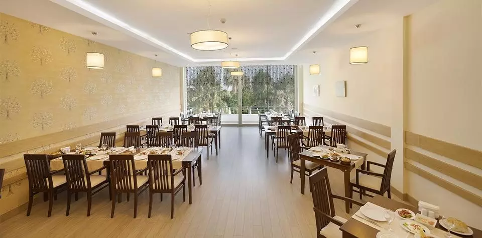 لیکوس بیچ آلانیا