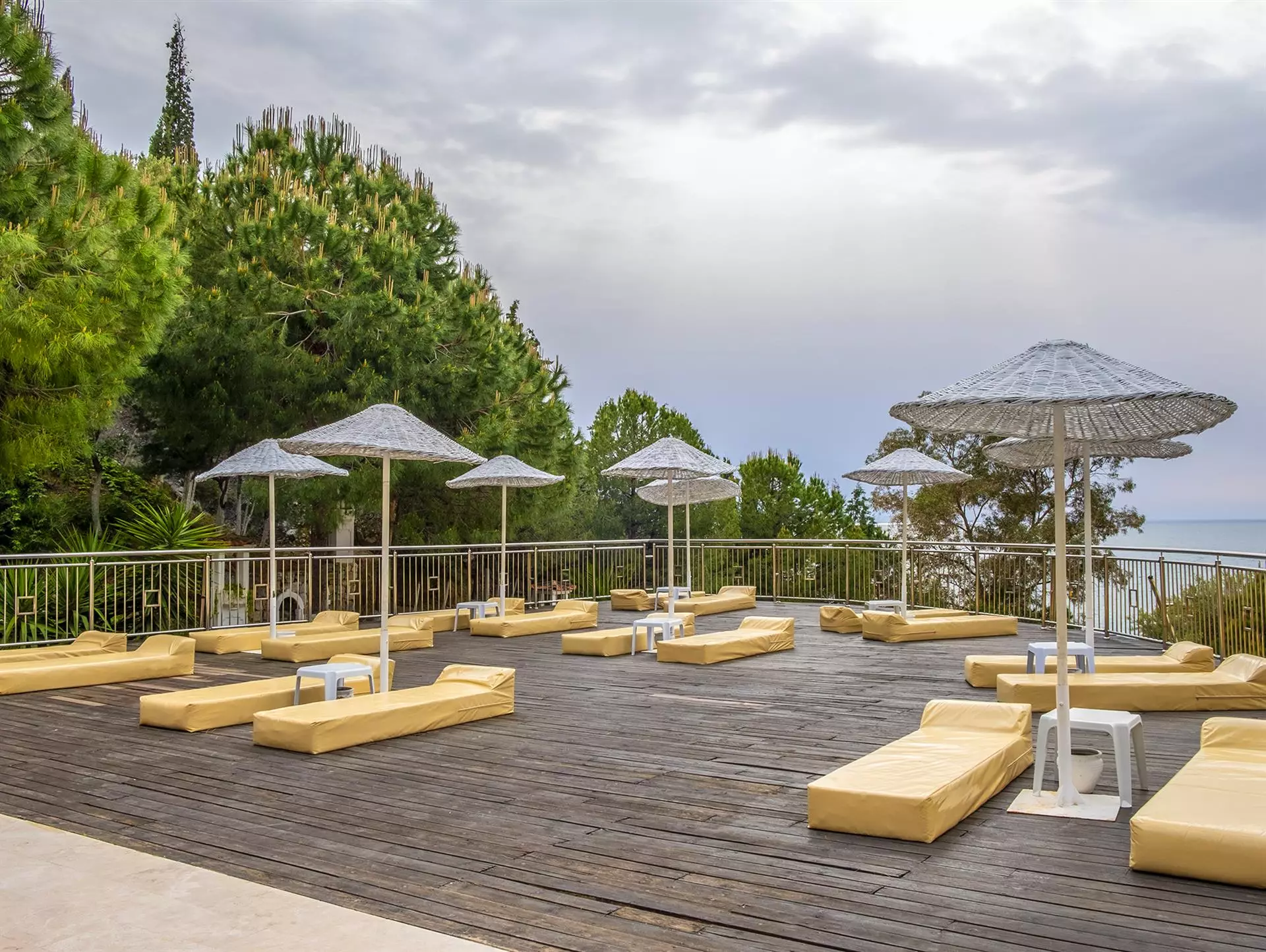 لادونیا آداکوله