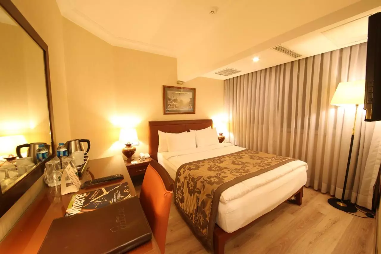 کارتون استانبول