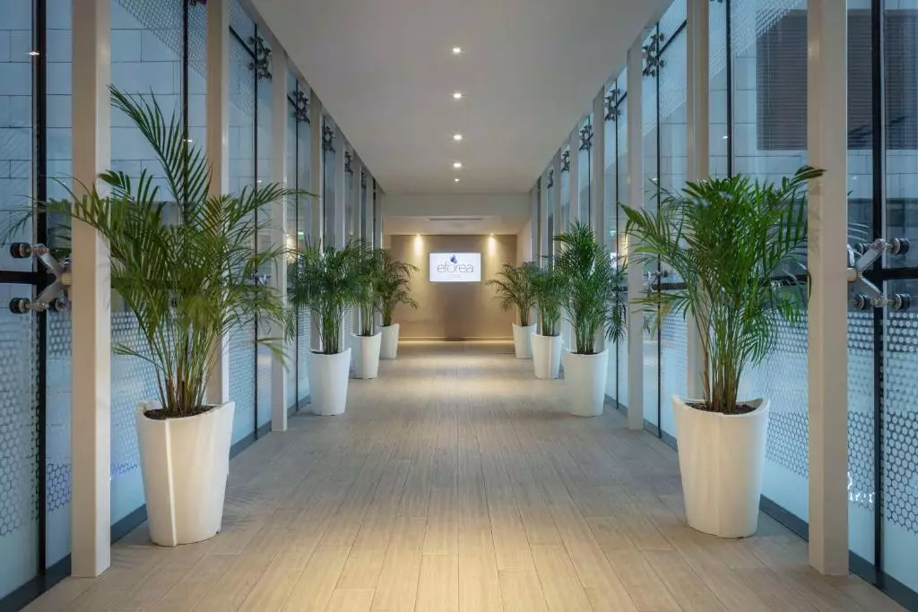 هیلتون باتومی