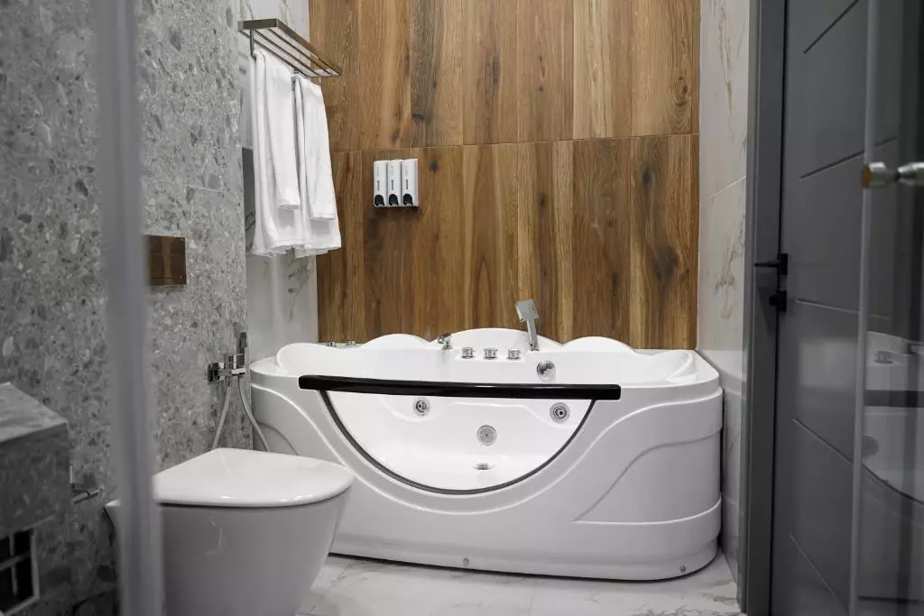 داینستی ایروان