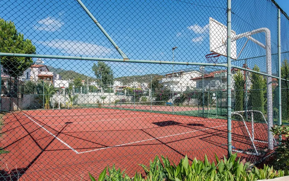 پالوما پاشا