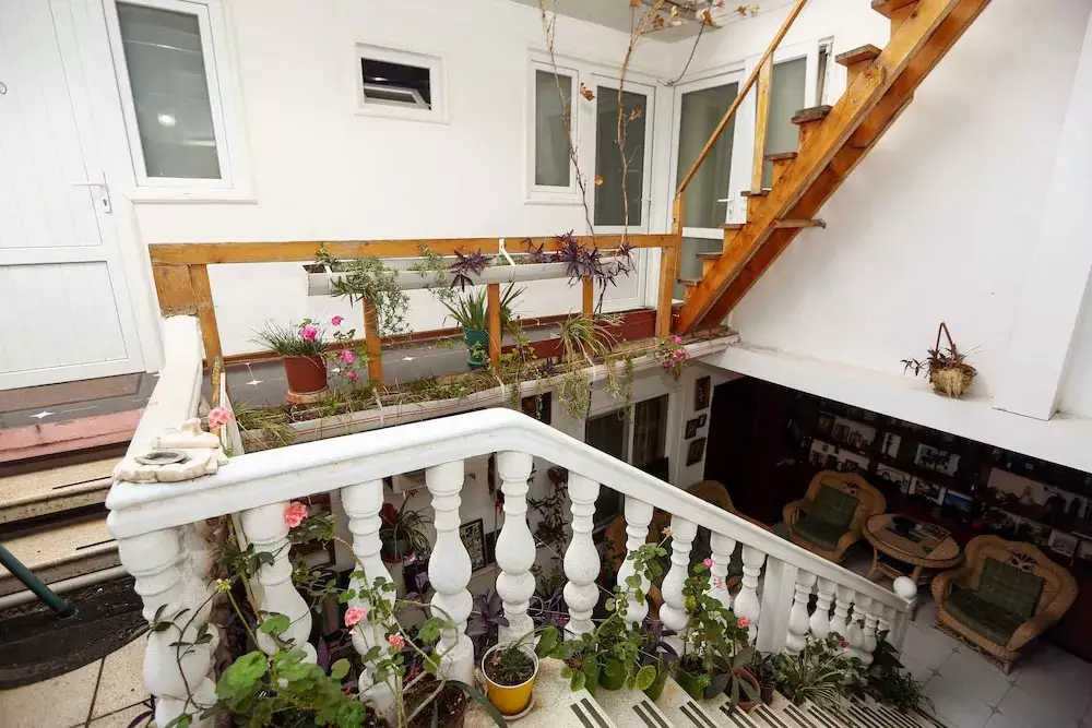 ایساکا تفلیس