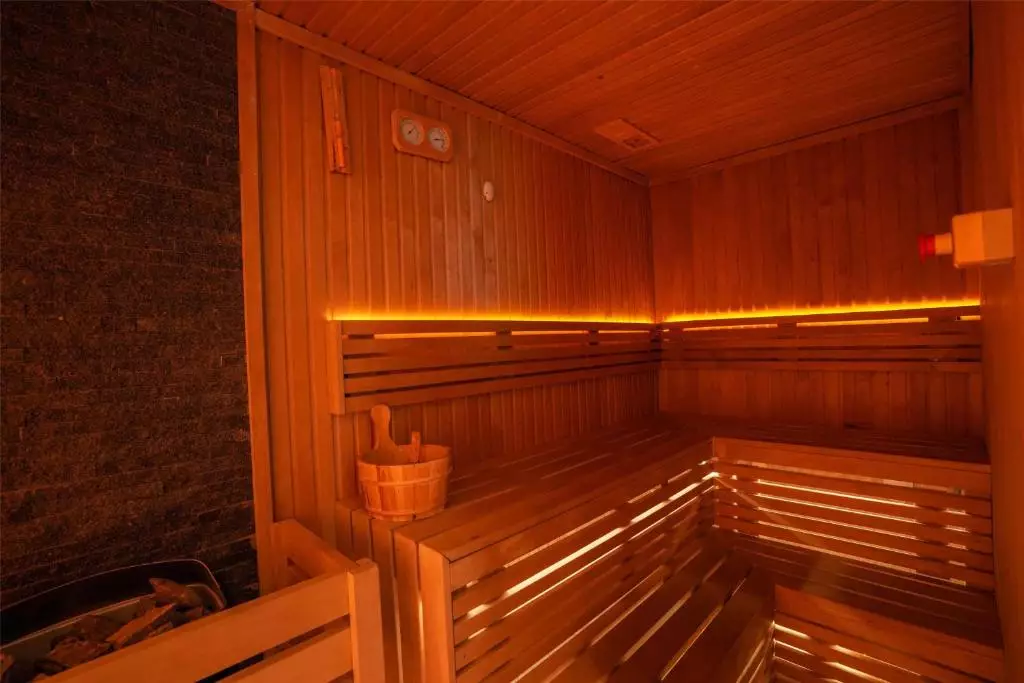 تامبی د پالم دبی