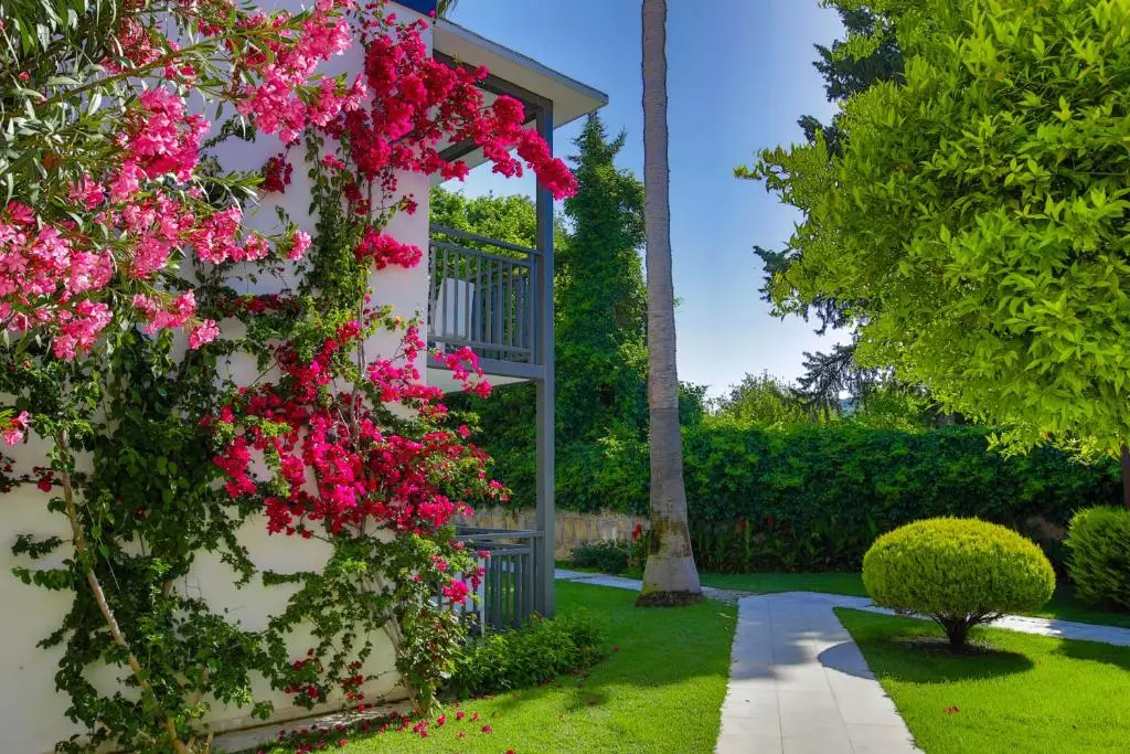 بیتز گاردن لایف