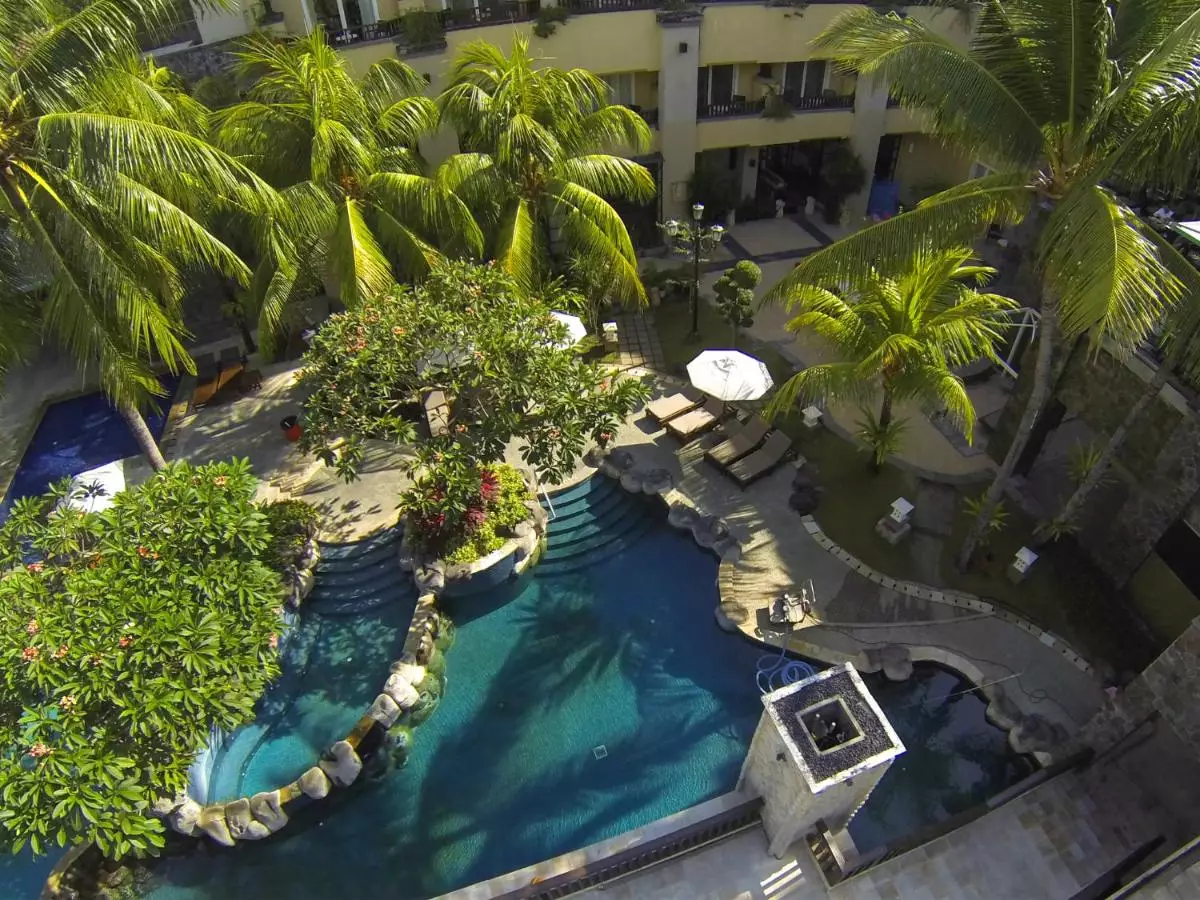 کوتا پارادیسو