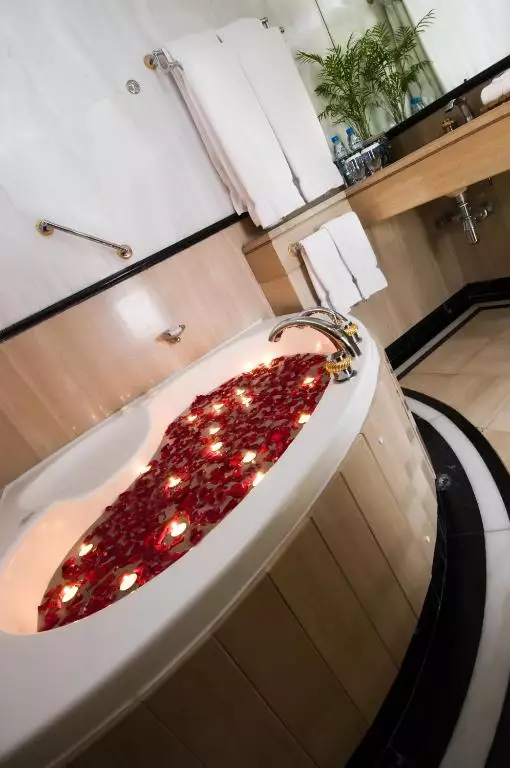 میلنیوم پلازا دبی