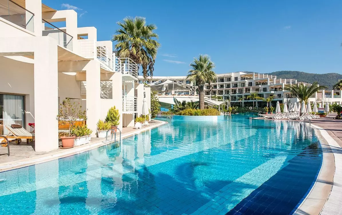 پالوما پاشا