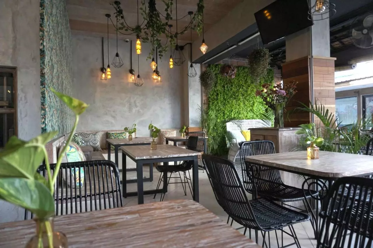 گمینی استار کوتا