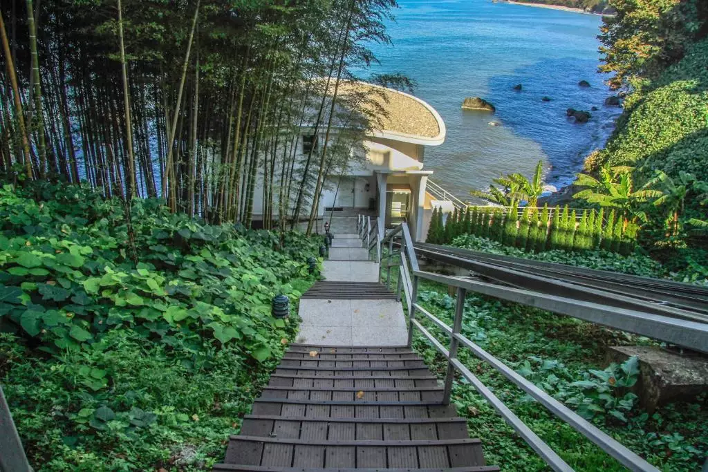 کلستلو مر دیانا باتومی