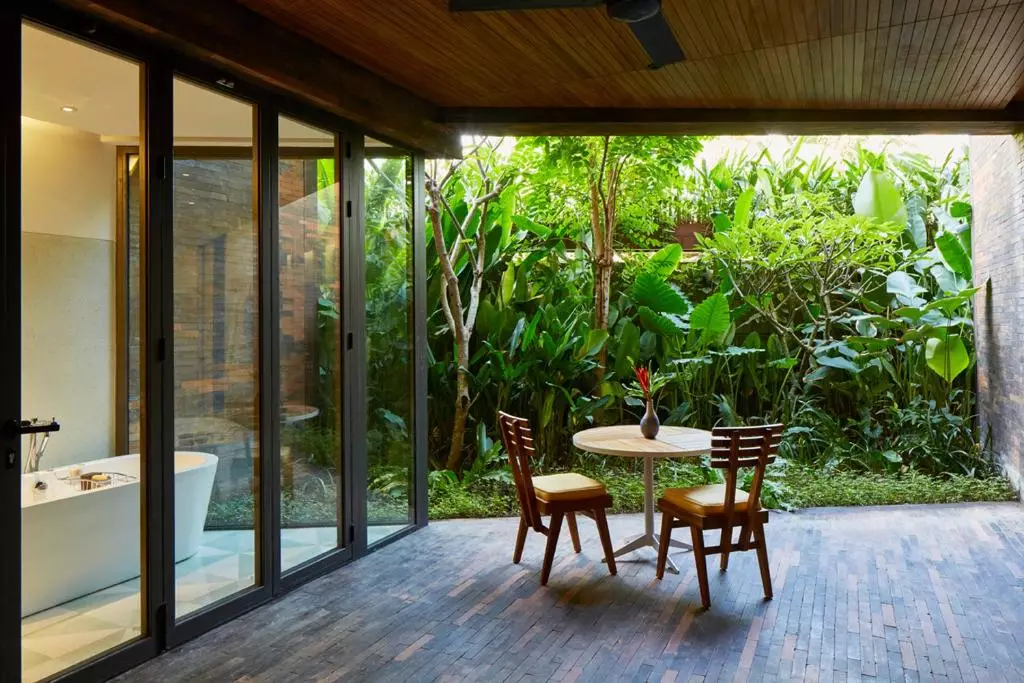 پوتیتو هد سویئت بالی