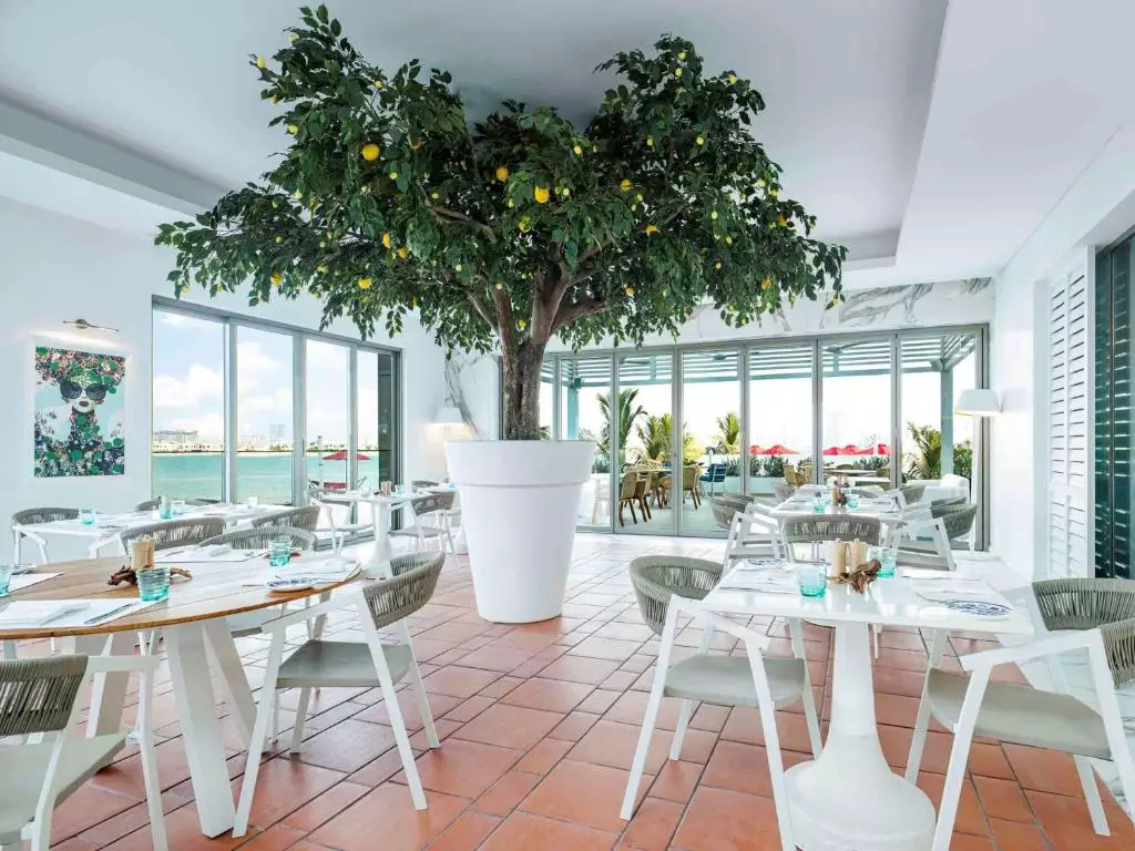 د ۸ پالم بای هاوس آف اریجینالز دبی