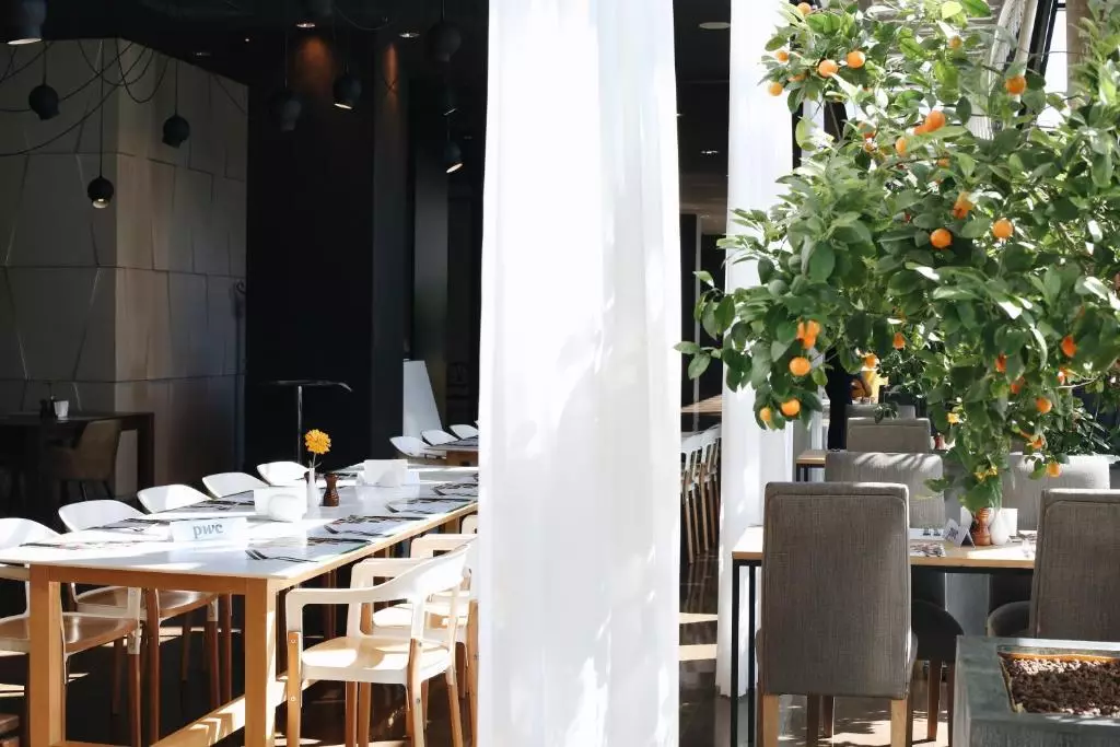 هالیدی این تفلیس