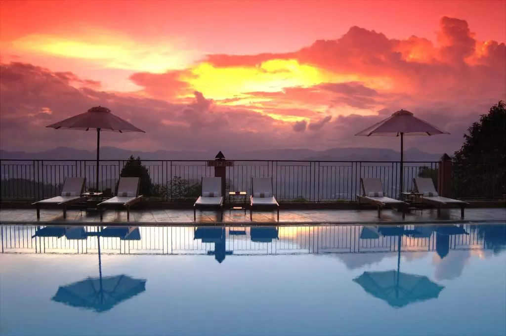 آمایا هیلز کندی