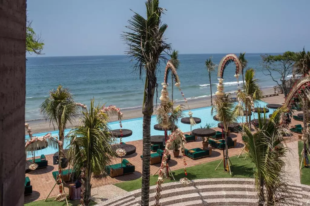 پوتیتو هد سویئت بالی