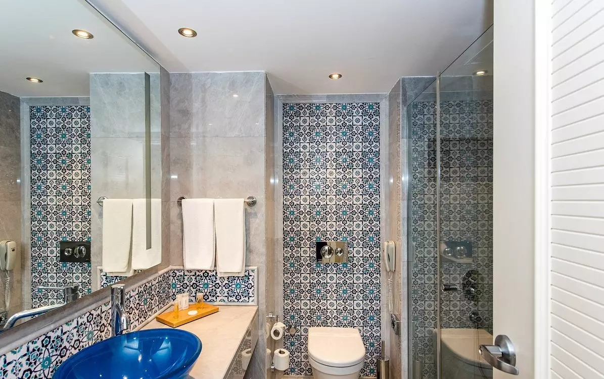 پالوما پاشا