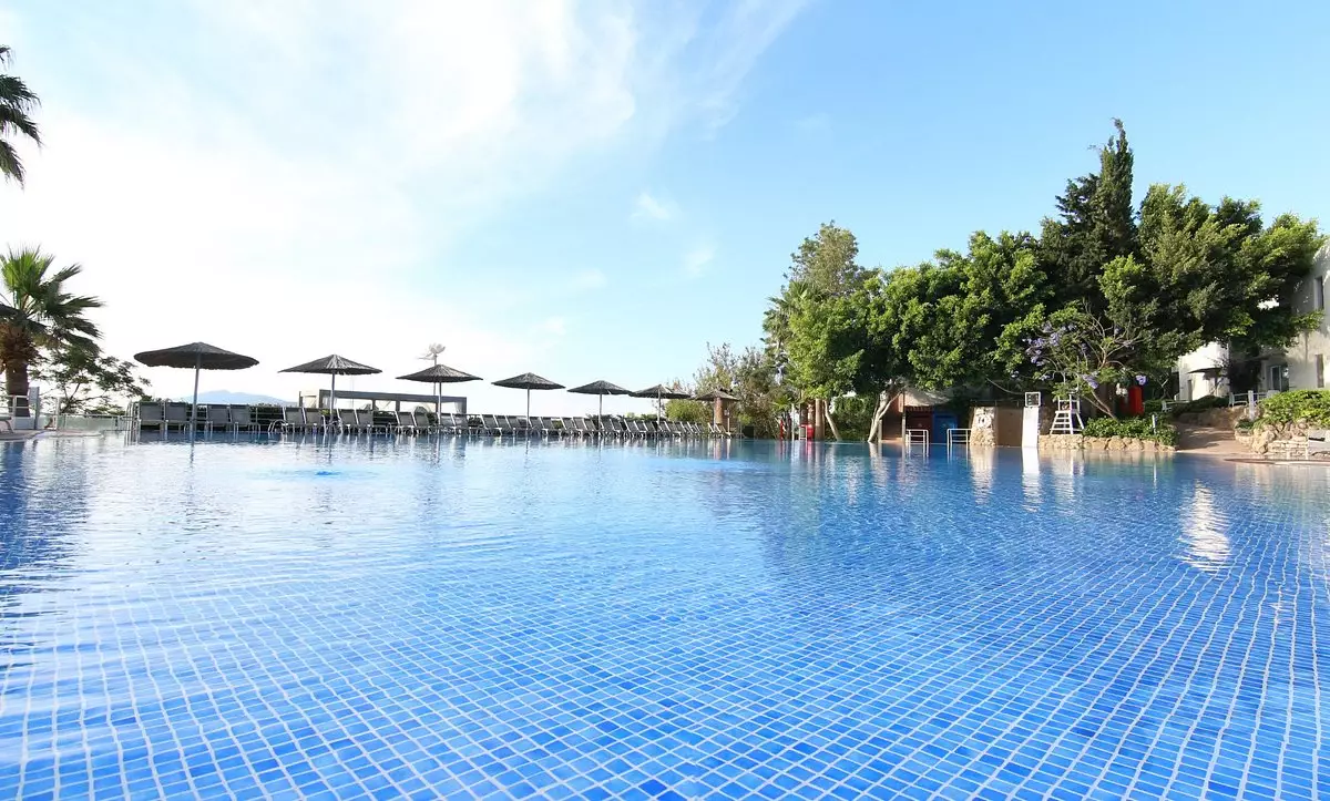 گادس آف بدروم