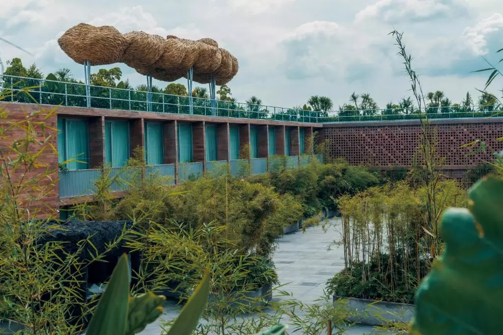 پوتیتو هد سویئت بالی