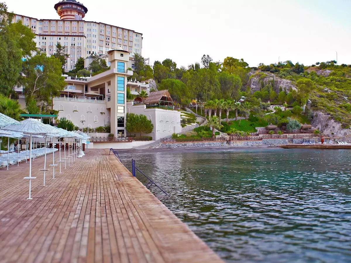 لادونیا آداکوله