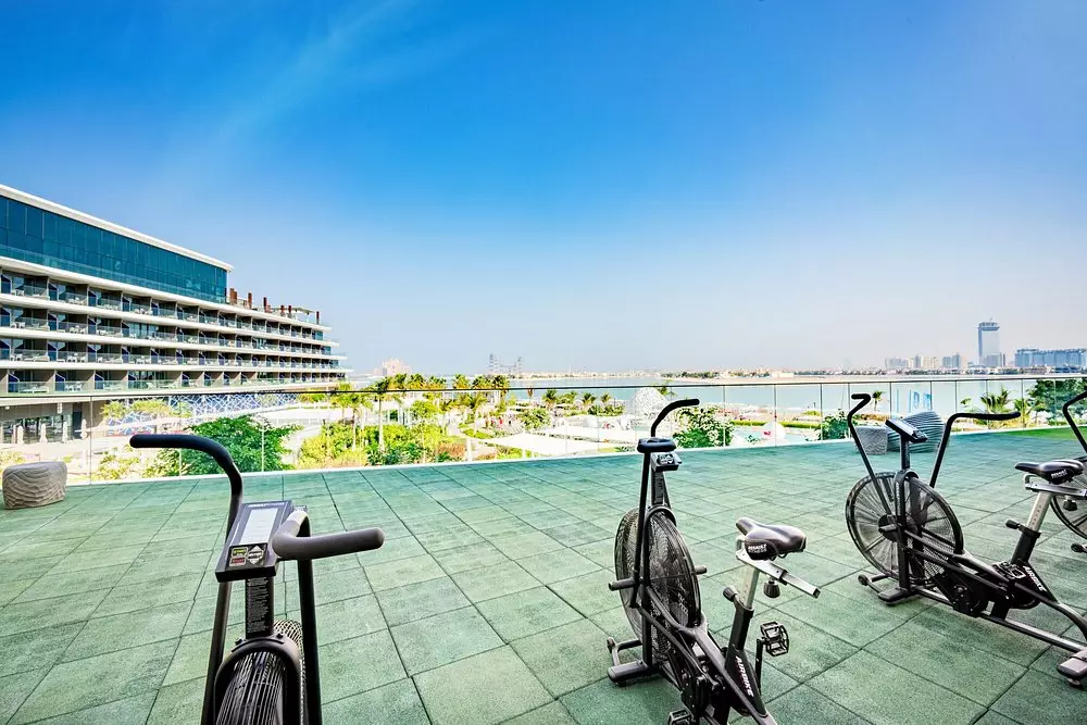 دبلیو د پالم دبی