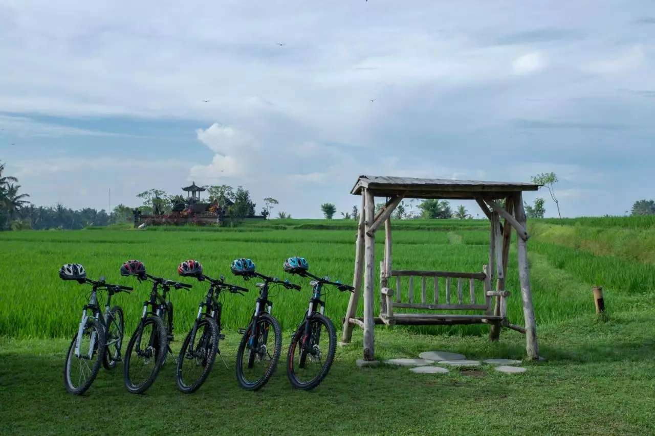 ویسسا ریزورت