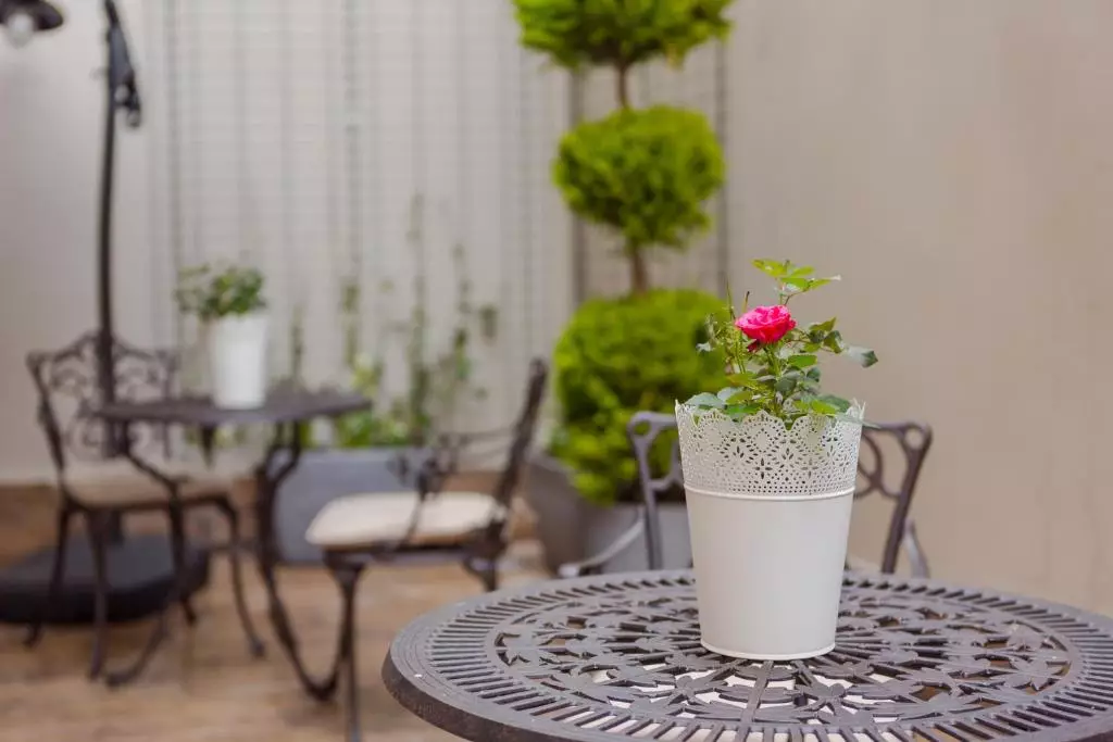 بلوم باتومی