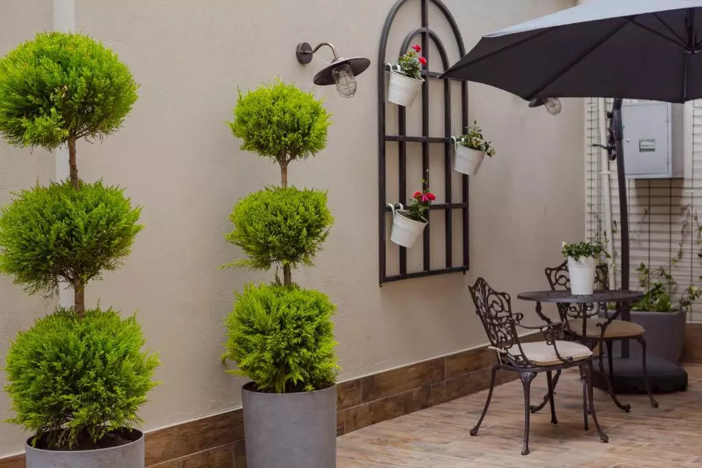 هتل بلوم باتومی