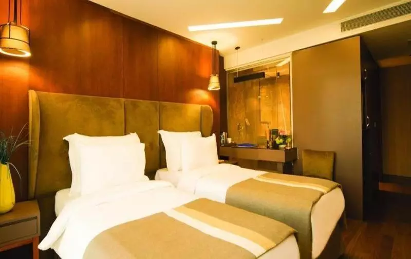 وی استانبول