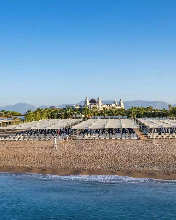 جدور دولوکس