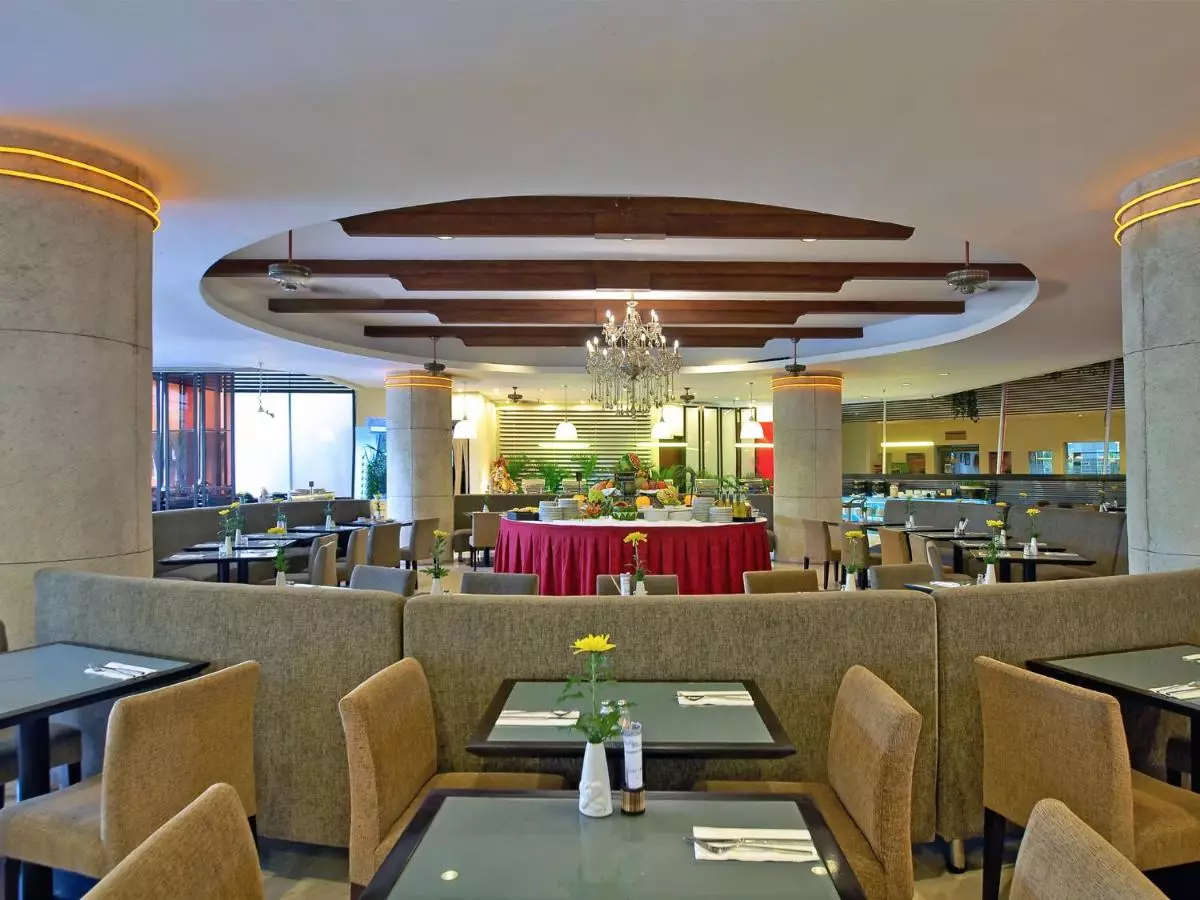 کوتا پارادیسو