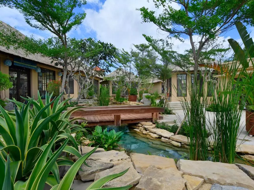 آیانا سگارا بالی