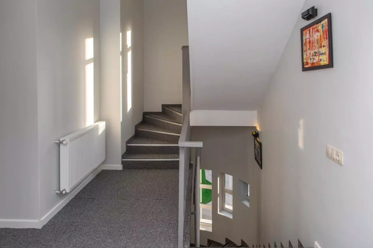 ویستا تفلیس