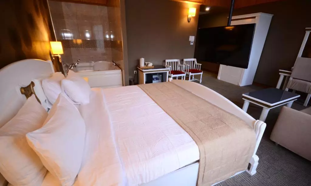 اسپوتنیک باتومی